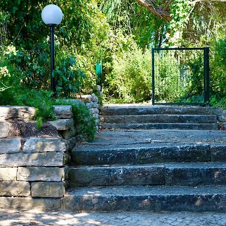 A Pausa * אלבור